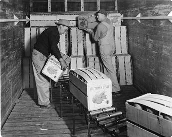 (MUTUAL ORANGE DISTRIBUTORS) Album of approximately 33 silver prints depicting the Redland, California distribution companys process.